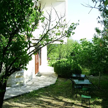 Pine Wood Oasis * بول
