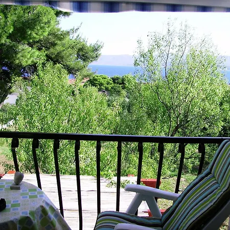 Pine Wood Oasis * بول